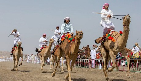 What will we be betting on next? Camel racing?