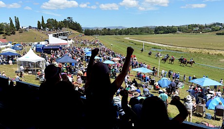 The Messara report recommended the number of galloping racetracks be reduced from 48 to 28.