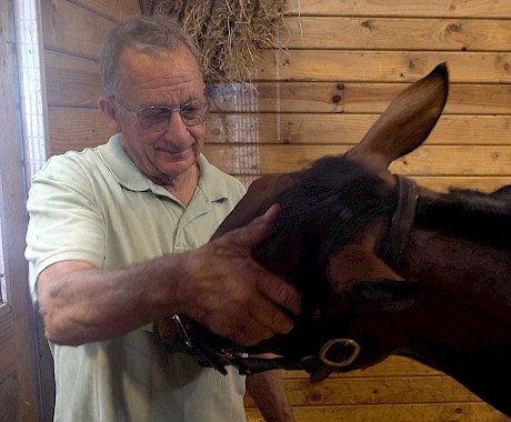 Ray Green gets to know one of his new yearlings, a cheap American Ideal colt, Whiz On Bye.