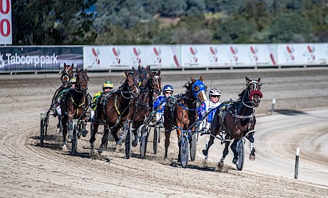 Make Way leads the field turning for home at Menangle today. PHOTO: Ashlea Brennan.