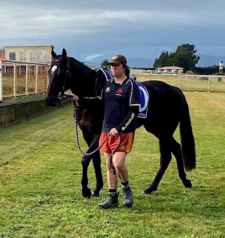 Lincoln’s Kruz parading at today’s Foxton trials.