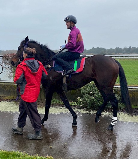 Platinum Rapper, pictured heading out for her heat today, had a decent blow afterwards.