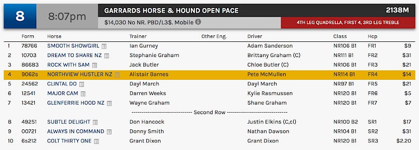 Northview Hustler races at 10.07pm NZ time at Albion Park on Saturday night.