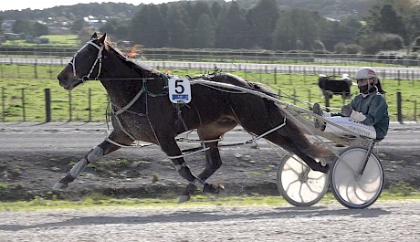 Franco Nandor striding out beautifully for Zachary Butcher in his heat win yesterday.