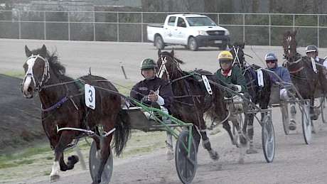 Two early winners, Larry Lincoln leads American Dealer in their heat at Pukekohe on Saturday.