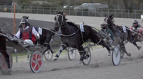 Man Of Action (5) in full flight for Zachary Butcher.