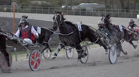 Man Of Action (5) in full flight for Zachary Butcher.