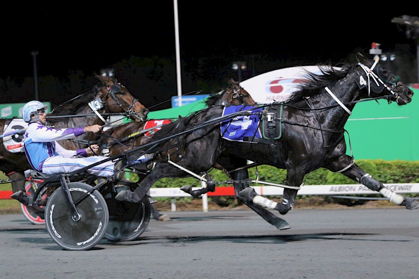 Pete McMullen blasts Northview Hustler out of the gate to claim an early lead. PHOTO: Dan Costello.