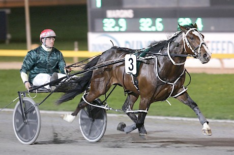 Driver Zachary Butcher is almost asleep in the cart as Larry Lincoln strolls home on debut at Cambridge last October. PHOTO: FokusPhotography.