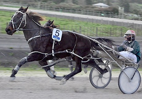 Man Of Action trials strongly at Pukekohe. He could be overlooked on the second row on Wednesday night.