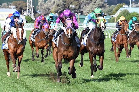 Lincoln Dreamer … adept in the wet. PHOTO: Peter Rubery/Race Images.