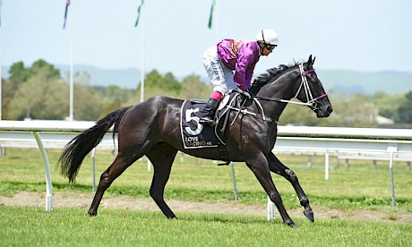 Lincoln’s Kruz is promising but has yet to race in wet ground. PHOTO: Peter Rubery/Race Images.