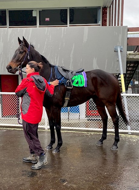 Almo Street pictured at the Otaki trials.