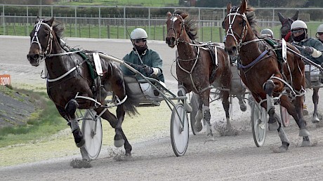 Andrew Drake looks across on Franco Nandor to see Zachary Butcher coming on stablemate Captain Nemo.