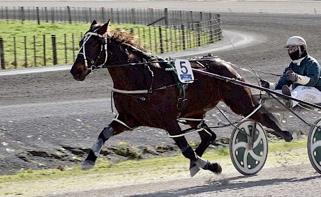 Man Of Action trials superbly for Zachary Butcher.