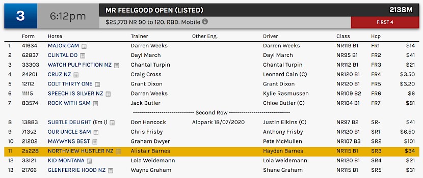 Northview Hustler races at 8.12pm NZ time at Albion Park on Saturday night.