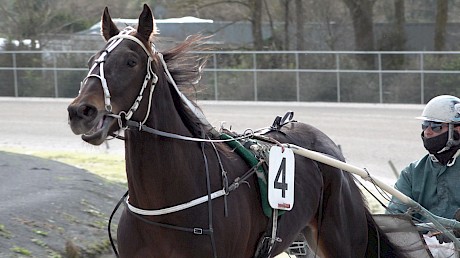 Franco Nandor (Andrew Drake) … led throughout his workout win last Friday and staved off Captain Nemo.