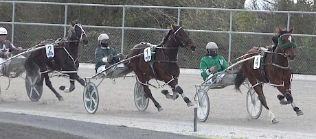 Aurora Stride trails Louie The Punter in a recent workout at Pukekohe.