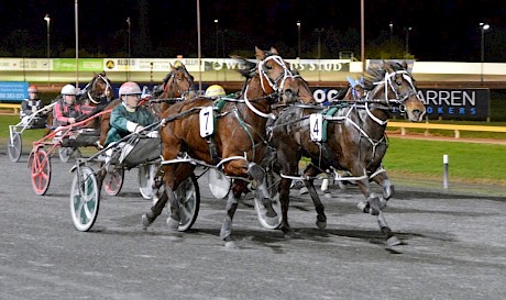 Captain Nemo, outer, gobbles up stablemate Apieceoflou in the shadows of the post at Cambridge. PHOTO: Chanelle Lawson.