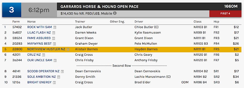 Northview Hustler races at 8.12pm NZ time at Albion Park on Saturday night.