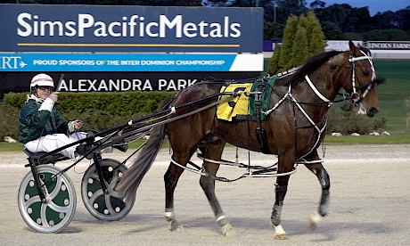Maurice McKendry salutes as he brings Copy That back after his supersonic win last week.