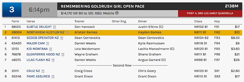 Northview Hustler races at 8.14pm NZ time at Albion Park on Saturday night.