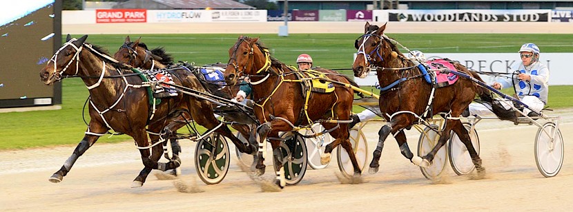 Franco Nandor staves off Military Man (yellow harness), Dixie Reign (widest) and Suidelike Major (inner) in a neck, neck and neck finish. PHOTO: Megan Liefting/Race Images.