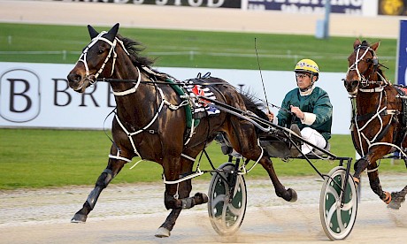 David Butcher has Franco Nandor rolling along nicely during his all-the-way win at Auckland. PHOTO: Megan Liefting/Race Images.