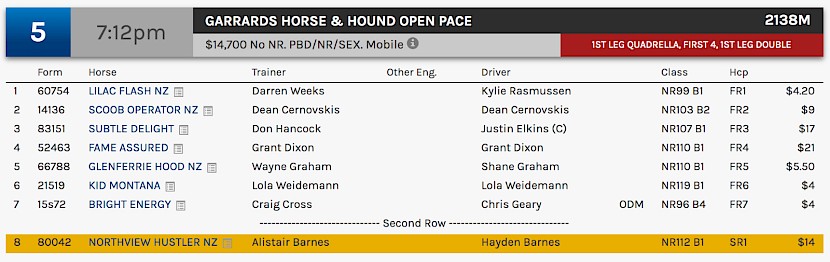 Northview Hustler races at 9.12pm NZ time at Albion Park on Saturday night