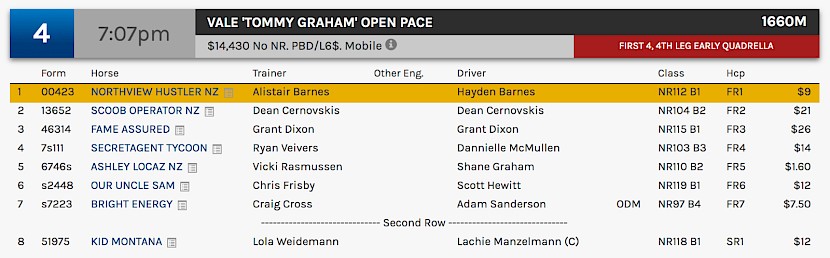 Northview Hustler races at 9.07pm NZ time at Albion Park on Saturday night.