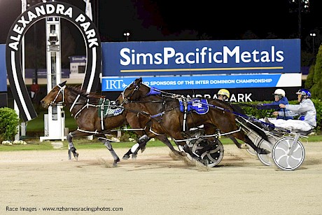Tommy Lincoln dashes late to grab Major Jellis at Alexandra Park. PHOTO: Megan Liefting/Race Images.