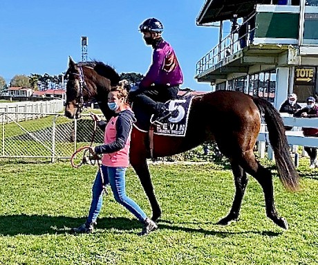 Platinum Petals heads out for her first trial.