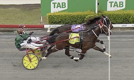 Man Of Action, inner, and Larry Lincoln all but dead-heat in a trial at Albion Park today.