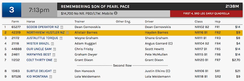 Northview Hustler races at 9.13pm NZ time at Albion Park on Saturday night.