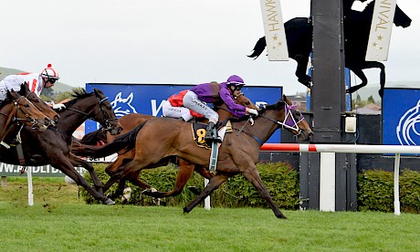 Princess Amelie scores fresh-up at the Hawkes Bay September meeting in 2018. PHOTO: Race Images.