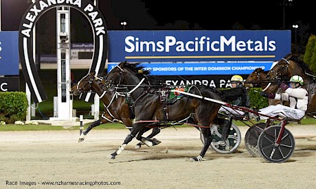 American Dealer staves off Krug by a head in the Sires’ Stakes Final at Auckland tonight. PHOTO: Megan Liefting/Race Images.