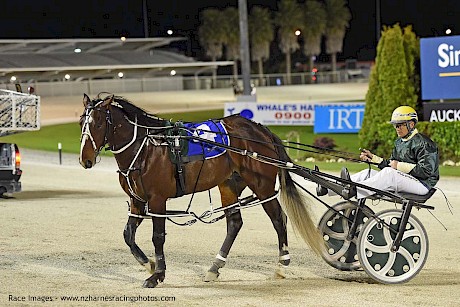 American Dealer … has morphed into a serious racehorse. PHOTO: Megan Liefting/Race Images.