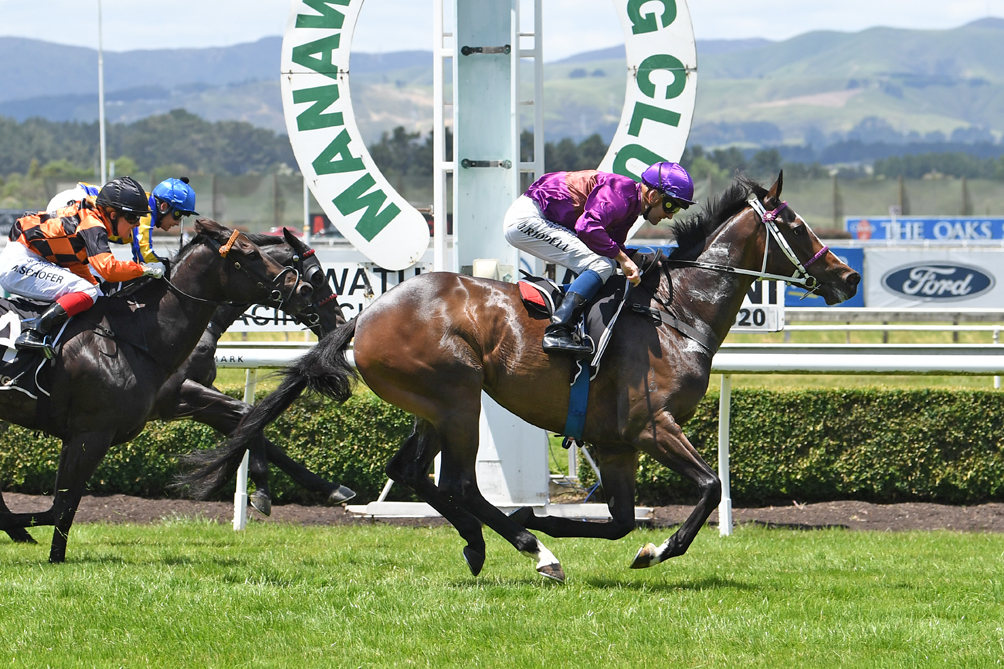 Lincoln Falls scores a terrific fresh-up win at Awapuni.