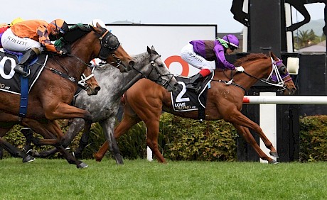 Lincoln Hills staves off the fast late run of Katie Perrie, wide out, with the grey Motivation a nose away third. PHOTO: Race Images.