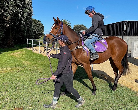 The Belardo - Donaquillo filly who shaded her stablemate at Foxton on Tuesday.