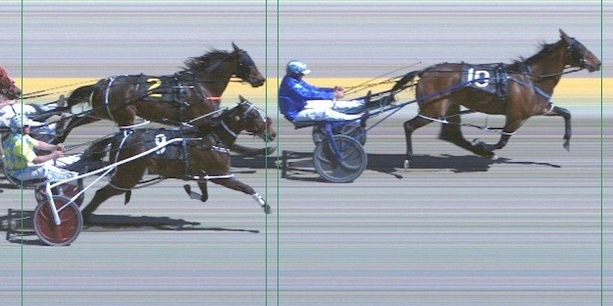 Make Way rushes home down the outer to run second in today’s trial at Menangle.