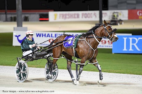 Maurice McKendry brings Copy That back. PHOTO: Megan Liefting/Race Images.