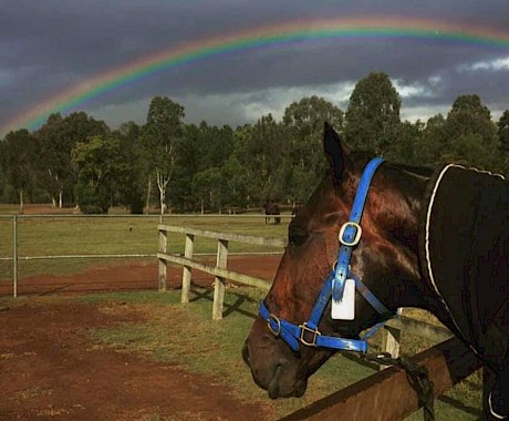 Make Way … there’s unlikely to be a pot of gold at the end of the rainbow this week.