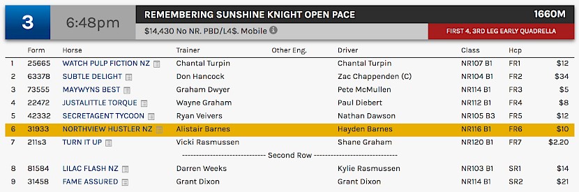 Northview Hustler races at 9.48pm NZ time at Albion Park on Saturday night.