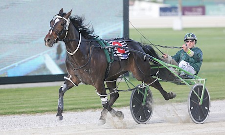 Apieceoflou (Andre Poutama) flies up the passing lane at Alexandra Park tonight. PHOTO: Trish Dunell.
