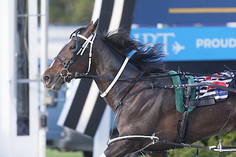 Apieceoflou scores at outsized odds in the Sires’ Stakes heat. PHOTO: Trish Dunell.