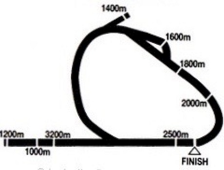 The 2500 metre starting point at Flemington is close to a bend so wide draws are a distinct disadvantage.