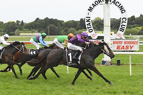 Lincoln Star has a neck on his rivals at the post. PHOTO: Peter Rubery/Race Images.