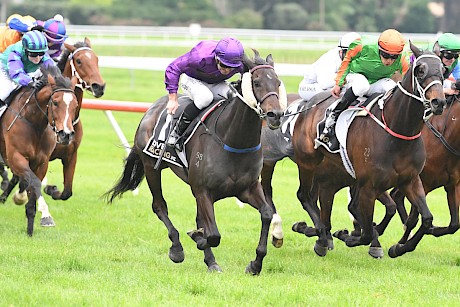 Jonathan Riddell gets the best out of Lincoln Star with Flying Surf challenging hotly inside him. PHOTO: Peter Rubery/Race Images.