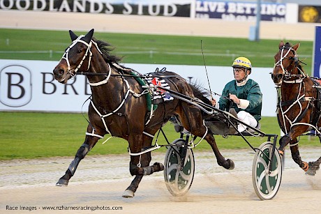 Franco Nandor on his way to scoring a last-start win at Alexandra Park. PHOTO: Megan Leifting/Race Images.